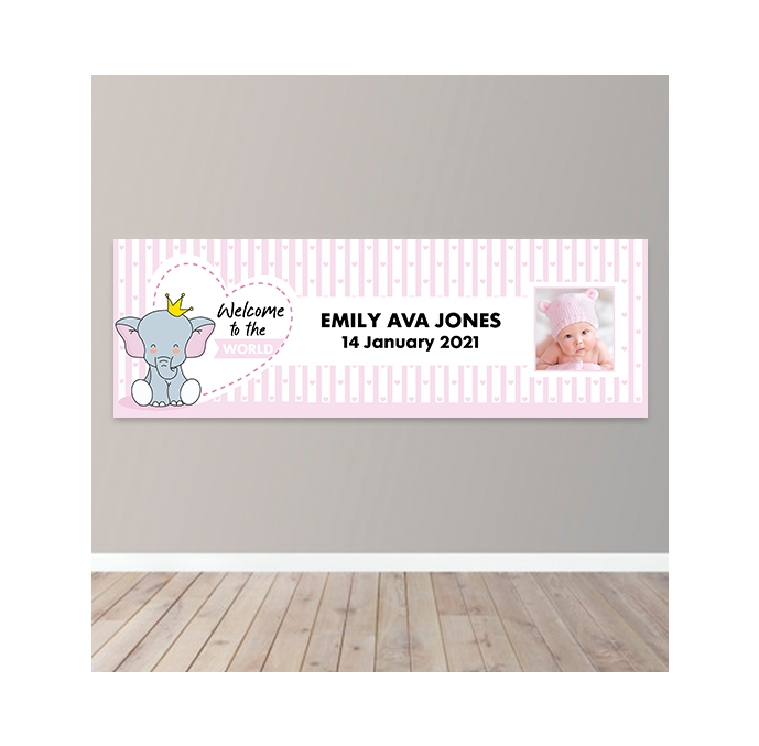 Personalised Girls Welcome To The World Photo Upload Banner